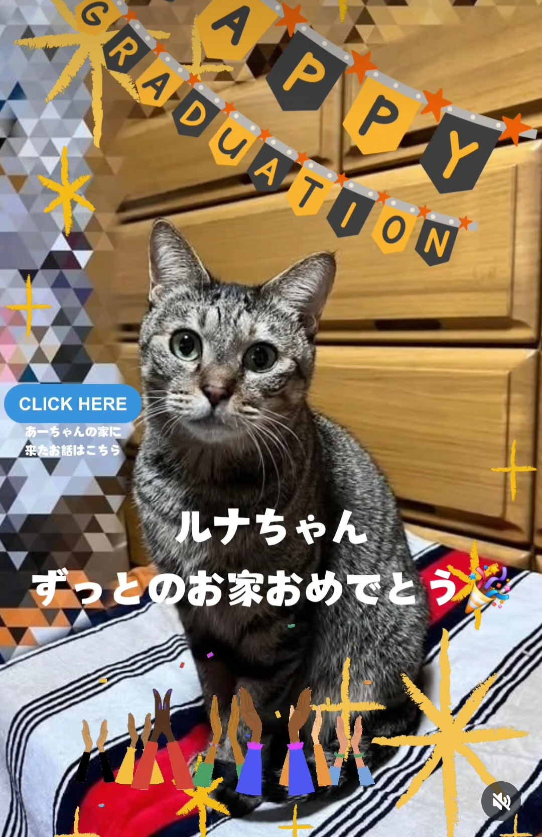 特定非営利活動法人あーちゃんの家