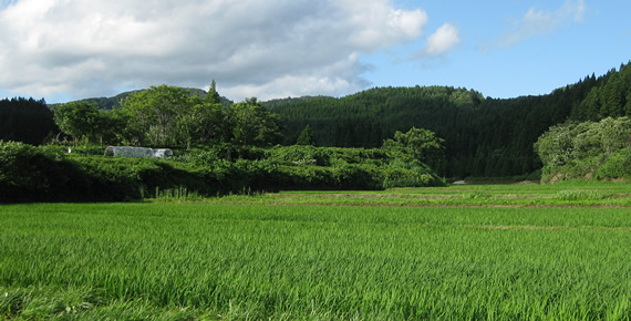 ＪＡ山形市・緑と子どものエコファンド